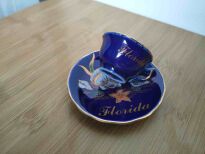 Filiżanka kolekcjonerska Floryda