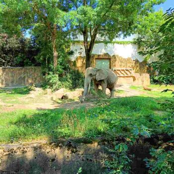 Safari Park Dvůr Králové – zoo safari w Czechach